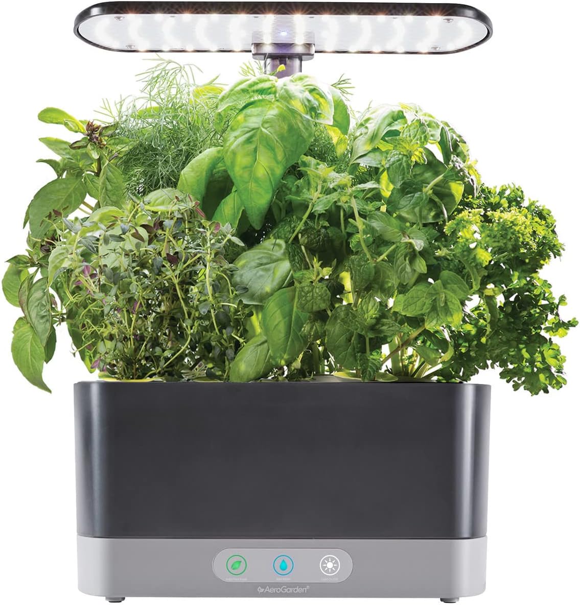 aerogarden to grow your own herbs